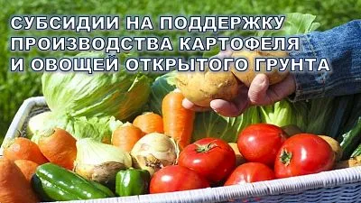 Министерство сельского хозяйства и перерабатывающей промышленности Краснодарского края (далее — министерство) информирует о том, что в 2024 году предусмотрена государственная поддержка граждан, ведущих личное подсобное хозяйство и применяющих специальный 