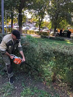 Мероприятие выполнено в рамках сезонного ухода за зелёными насаждениями ,с целью улучшения их состояния и поддержания благоустройства территории