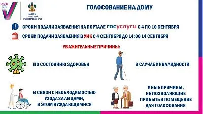 Голосование на дому