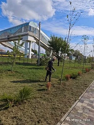 Прошли работы по покосу сорной растительности
